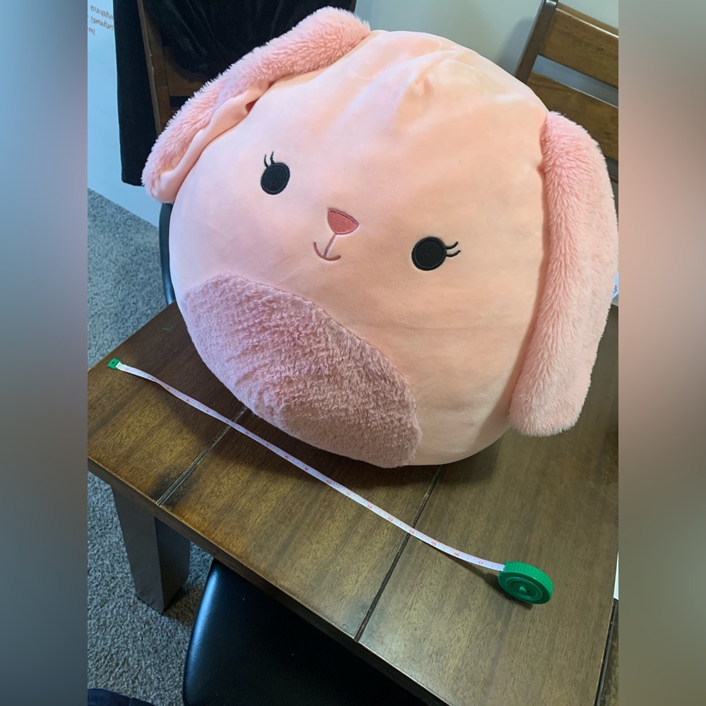 Bop Squishmallow Large